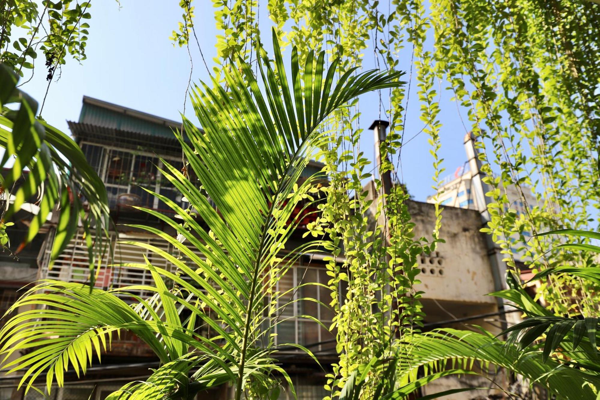 Ferienwohnung The Garden House Hanoi Exterior foto